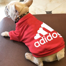 Load image into Gallery viewer, Tout nouveau vêtements hiver chaud mode à capuche