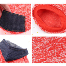 Load image into Gallery viewer, Pawstrip XS-2XL manteau à capuche pour chien