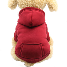Load image into Gallery viewer, Pawstrip XS-2XL manteau à capuche pour chien