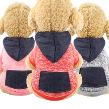 Load image into Gallery viewer, Pawstrip XS-2XL manteau à capuche pour chien