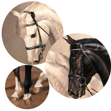 Load image into Gallery viewer, Toile murale Cheval Noir et Blanc