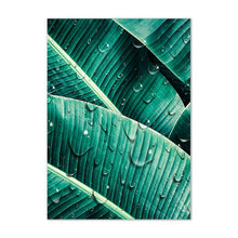 Load image into Gallery viewer, Toile murale Plante verte feuille
