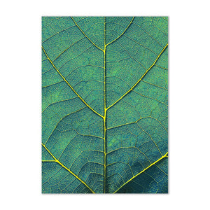 Toile murale Plante verte feuille