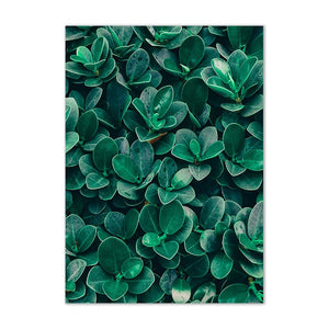 Toile murale Plante verte feuille